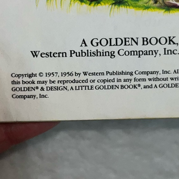 My First Counting Book a Little Golden Book kids vintage reading book - Picture 3 of 8